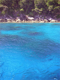 常夏の楽園でライセンスを取ろう