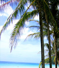 ラチャ・ヤイのダイビングポイント