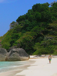 ダイビングイメージ ダイビングイメージ