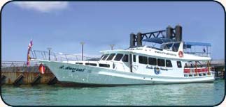 デイトリップ船