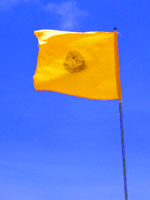 サーフィンだけじゃない語学も学べる留学