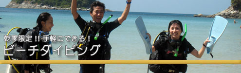 ビーチダイビング