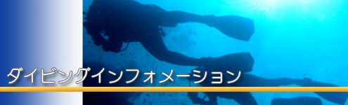 ダイビングインフォメーション
