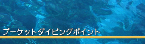 ダイビングインフォメーション