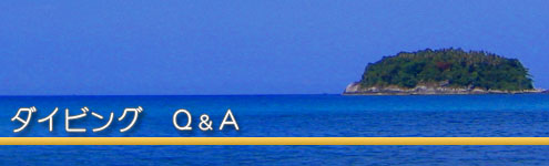ダイビングQ&A