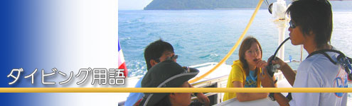 ダイビング用語