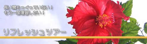 リフレッシュツアー