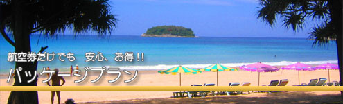 パッケージプラン