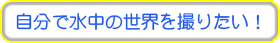 自分で水中の世界を撮りたい