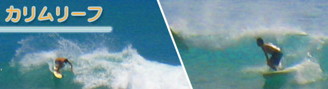 カリムリーフ