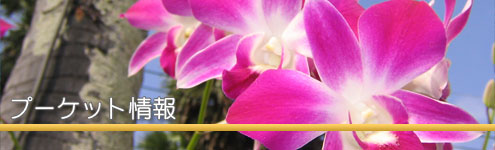 プーケット情報