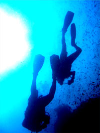 ダイビングイメージ