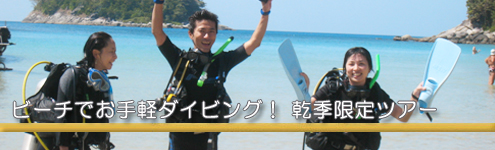 ビーチダイビング