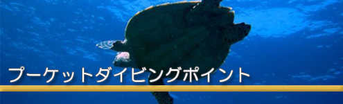 ダイビングインフォメーション
