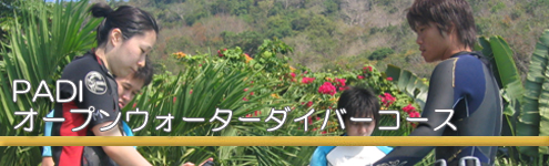 オープンウォーターダイバーコース