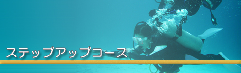 ステップアップコース