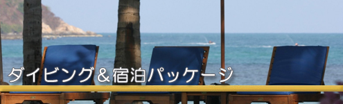 ダイビング＆宿泊パッケージ