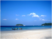 ダイﾋﾞﾝグイメージ