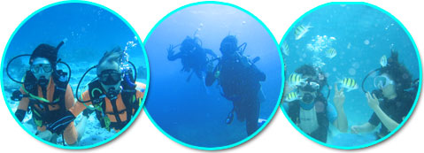 ダイビングの思い出に