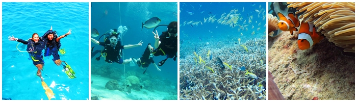 体験ダイビング