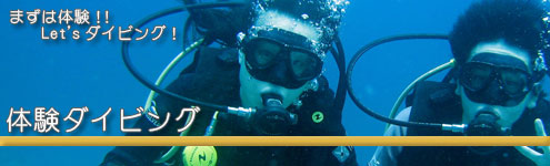 体験ダイビング