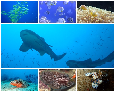 少人数制ガイド