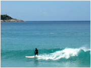 常夏屋のここがポイント！