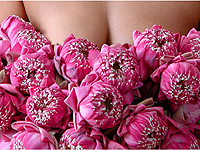 タイタッチイメージ