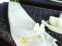 オリエンタル・オプションイメージ