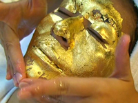 ザ・エランダ・チャチャイメージ