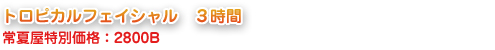 トロピカルフェイシャル3時間 常夏屋特別価格：2800B