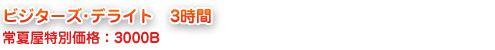 ビジターズ･デライト3時間3000B