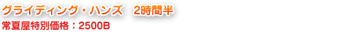 グライディング・ハンズ2時間半2500B