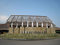 フライトイメージ