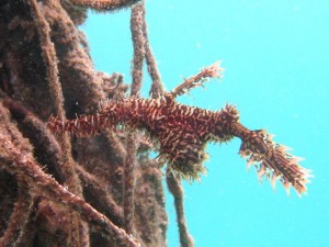 efbe86efbdbcefbdb7efbe8cefbdb3efbe97efbdb2efbdb3efbdb5