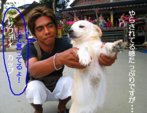 img_0219-1efbd8aefbd90efbd87