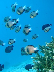 e382a4e383b3e38387e382a3e382a2e383b3e38380e38383e382b7e383a9e382b9 e382a4e383b3e38387e382a3e382a2e383b3e38380e38383e382b7e383a9e382b9