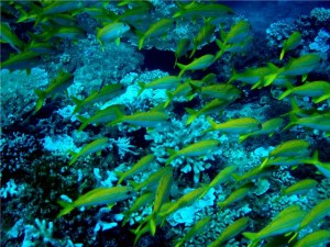 getattachment3 getattachment3