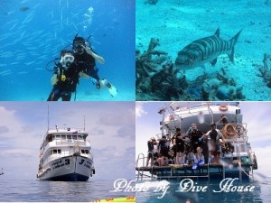 e784a1e9a18c-15 e784a1e9a18c-15