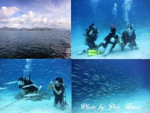 e784a1e9a18c-16 e784a1e9a18c-16