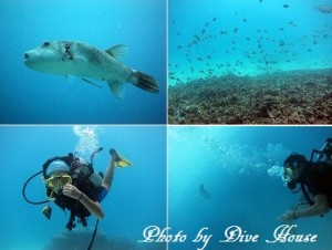 e784a1e9a18c-24 e784a1e9a18c-24