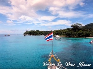 e784a1e9a18c-25 e784a1e9a18c-25