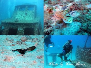 e784a1e9a18c-33 e784a1e9a18c-33