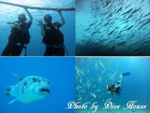 e784a1e9a18c1-1 e784a1e9a18c1-1