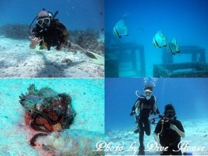 e784a1e9a18c1-11 e784a1e9a18c1-11