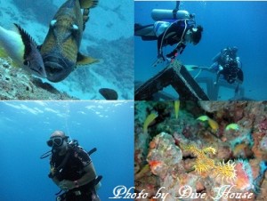 e784a1e9a18c1-21 e784a1e9a18c1-21