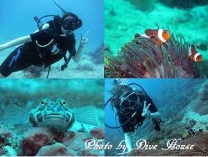 e784a1e9a18c2-1 e784a1e9a18c2-1