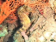 t02200165_03800285117916010791