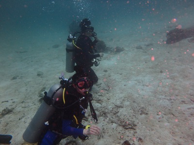 OLYMPUS DIGITAL CAMERA