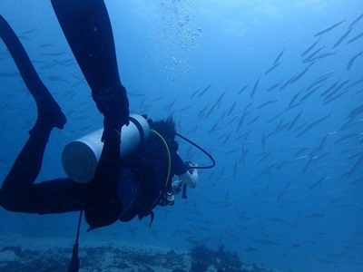 20179882_10213822711621942_2053396845_n[1]